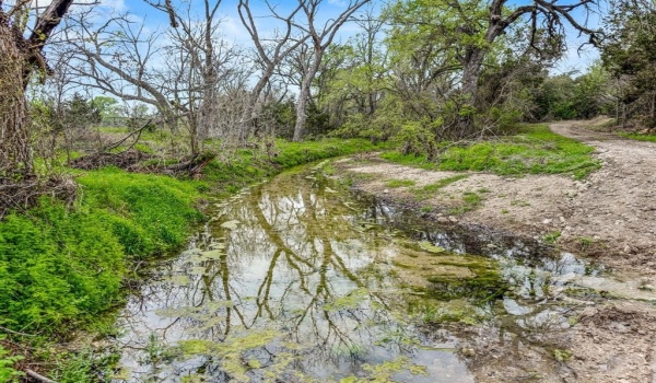 1287 Private Road 2120, Meridian, TX 76665, 2 Bedrooms Bedrooms, ,2 BathroomsBathrooms,Residential,For Sale,1287 Private Road 2120,20868552