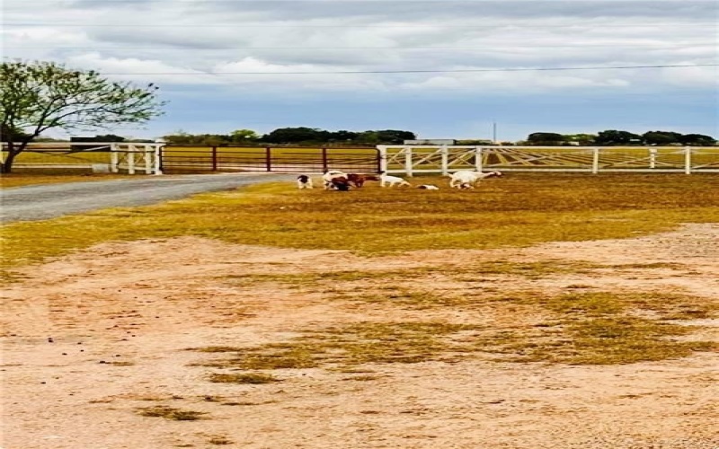 2420 Mile 13 N, Donna, TX 78537, 1 Bedroom Bedrooms, ,1 BathroomBathrooms,Residential,For Sale,2420 Mile 13 N,465510