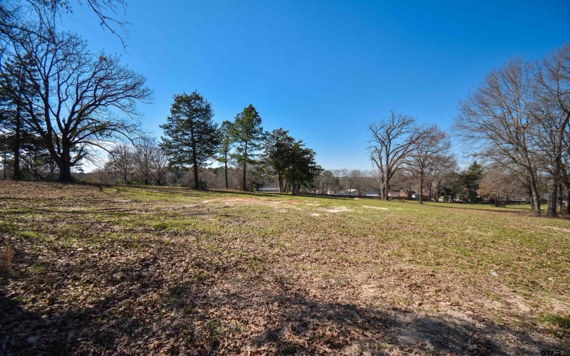 14697 Gracie Ln, Brownsboro, TX 75756, 3 Bedrooms Bedrooms, ,2 BathroomsBathrooms,Residential,For Sale,14697 Gracie Ln,25003170