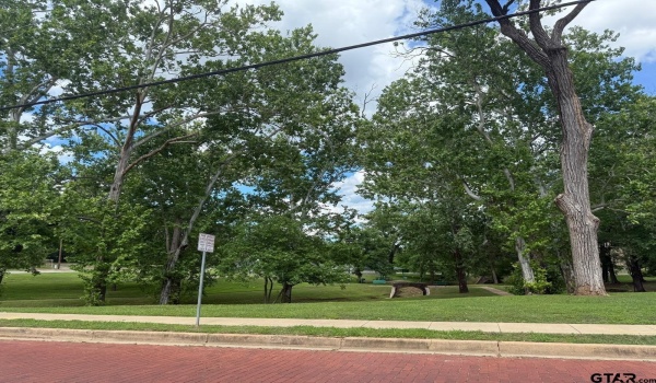 1100 N Bois D Arc, Tyler, TX 75702, 3 Bedrooms Bedrooms, ,2 BathroomsBathrooms,Residential,For Sale,1100 N Bois D Arc,25003789