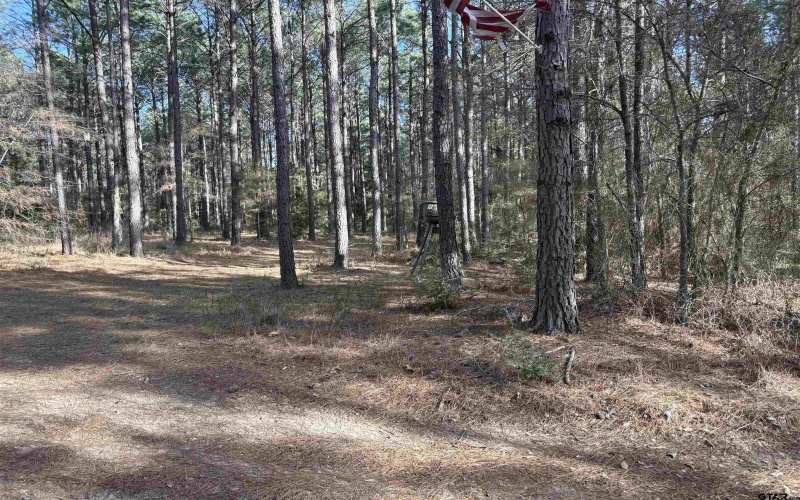 TBD 34.5 ACRES FM 2274, Troup, TX 75789, 1 Bedroom Bedrooms, ,1 BathroomBathrooms,Farm,For Sale,TBD 34.5 ACRES FM 2274,25003995