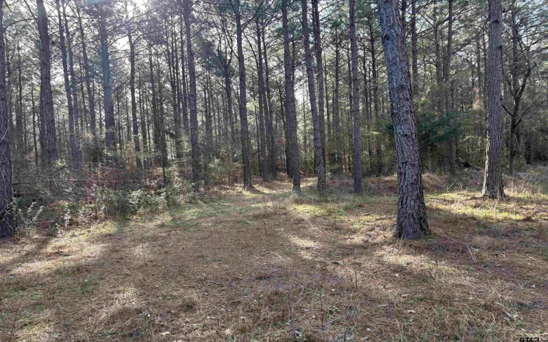 TBD 34.5 ACRES FM 2274, Troup, TX 75789, 1 Bedroom Bedrooms, ,1 BathroomBathrooms,Farm,For Sale,TBD 34.5 ACRES FM 2274,25003995
