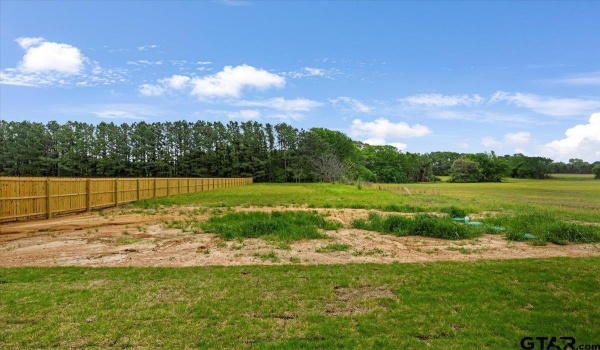 15123 High Country Acres, Tyler, TX 75706, 4 Bedrooms Bedrooms, ,2 BathroomsBathrooms,Residential,For Sale,15123 High Country Acres,25005311