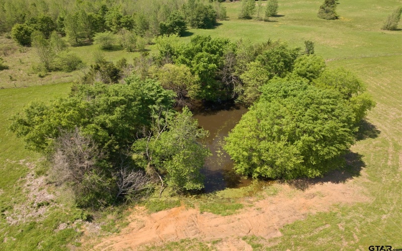 115 County Road 4720, Mt Pleasant, TX 75455, 3 Bedrooms Bedrooms, ,2 BathroomsBathrooms,Residential,For Sale,115 County Road 4720,25005792