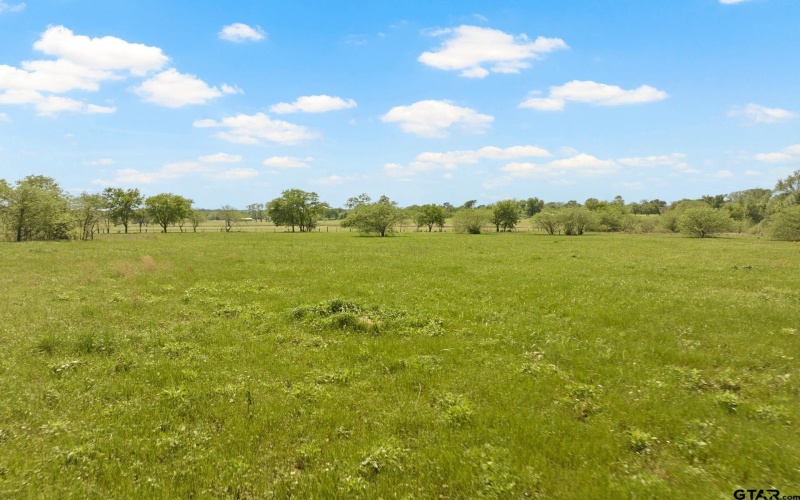 115 County Road 4720, Mt Pleasant, TX 75455, 3 Bedrooms Bedrooms, ,2 BathroomsBathrooms,Residential,For Sale,115 County Road 4720,25005792