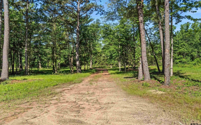 9760 Wood Chuck, Winnsboro, TX 75494, 2 Bedrooms Bedrooms, ,2 BathroomsBathrooms,Residential,For Sale,9760 Wood Chuck,25007110