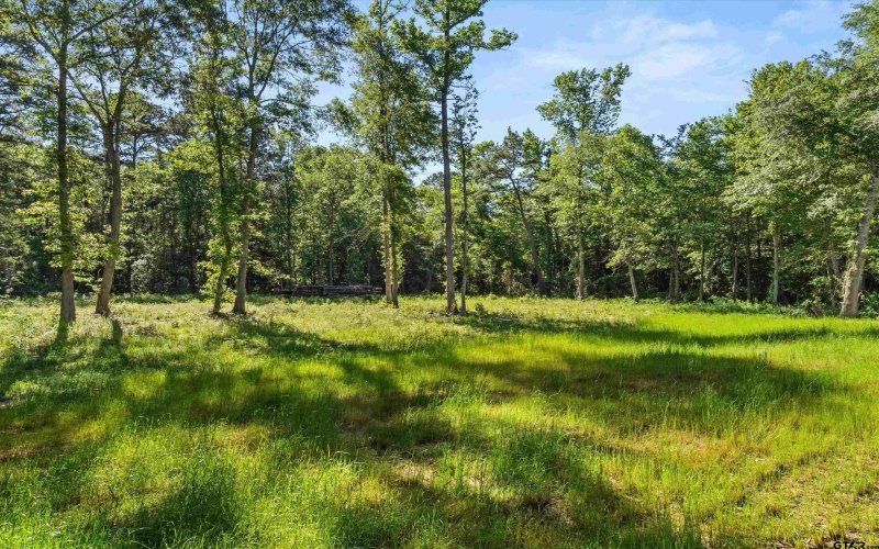 9760 Wood Chuck, Winnsboro, TX 75494, 2 Bedrooms Bedrooms, ,2 BathroomsBathrooms,Residential,For Sale,9760 Wood Chuck,25007110