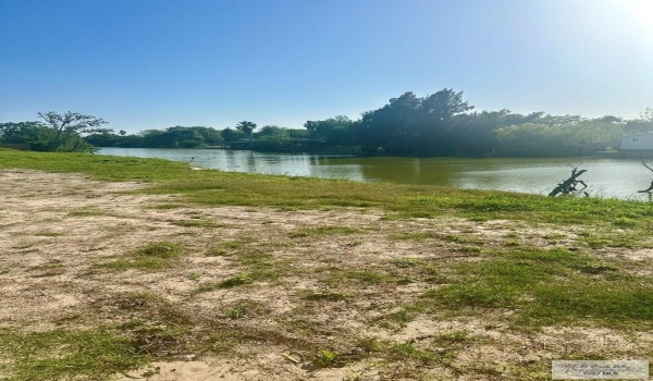 4516 DAYBREAK DR, BROWNSVILLE, TX 78521, 3 Bedrooms Bedrooms, ,2 BathroomsBathrooms,Residential,For Sale,4516 DAYBREAK DR,29764475