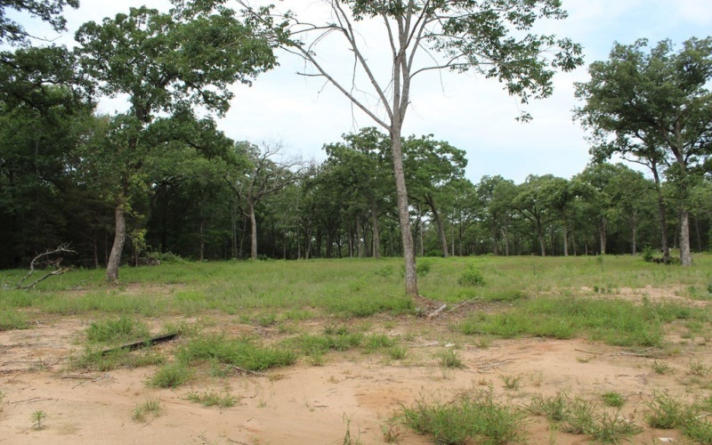 3265 PR 5401, Malakoff, TX 75148, 3 Bedrooms Bedrooms, ,3 BathroomsBathrooms,Land,For Sale,3265 PR 5401,105813