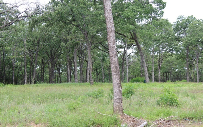 3265 PR 5401, Malakoff, TX 75148, 3 Bedrooms Bedrooms, ,3 BathroomsBathrooms,Land,For Sale,3265 PR 5401,105813