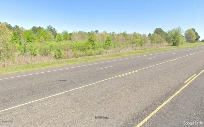 20768 HWY 155, Flint, TX 75762, ,Commercial Sale,For Sale,20768 HWY 155,106241