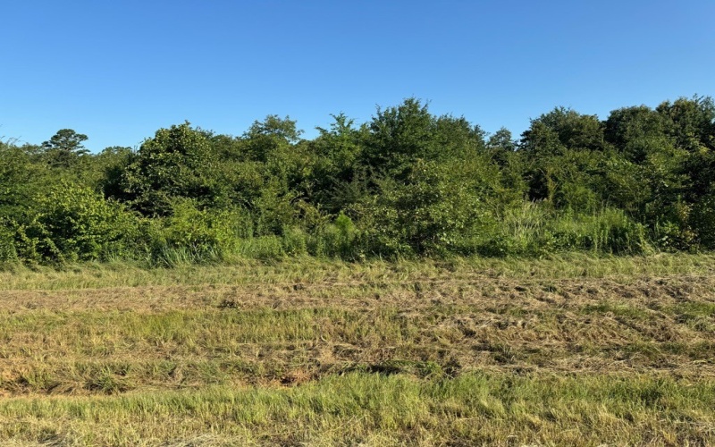 20768 HWY 155, Flint, TX 75762, ,Commercial Sale,For Sale,20768 HWY 155,106241