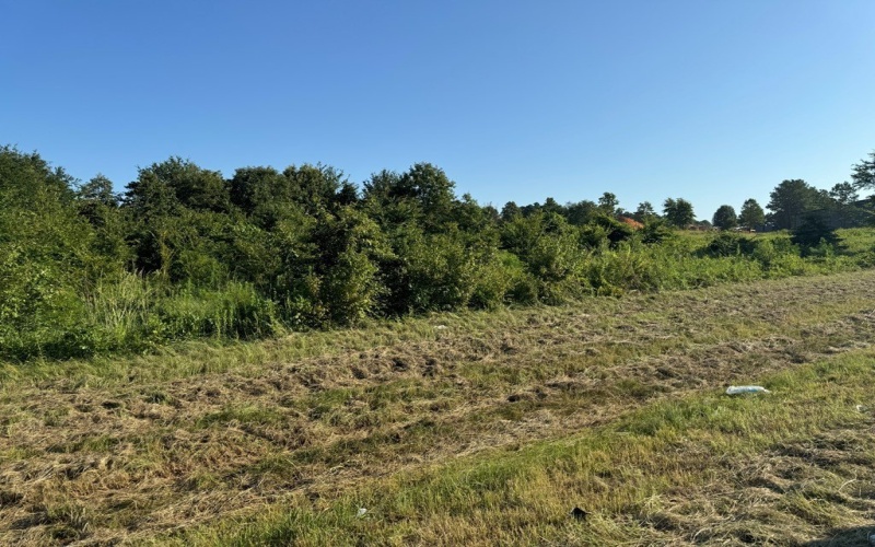 20768 HWY 155, Flint, TX 75762, ,Commercial Sale,For Sale,20768 HWY 155,106241