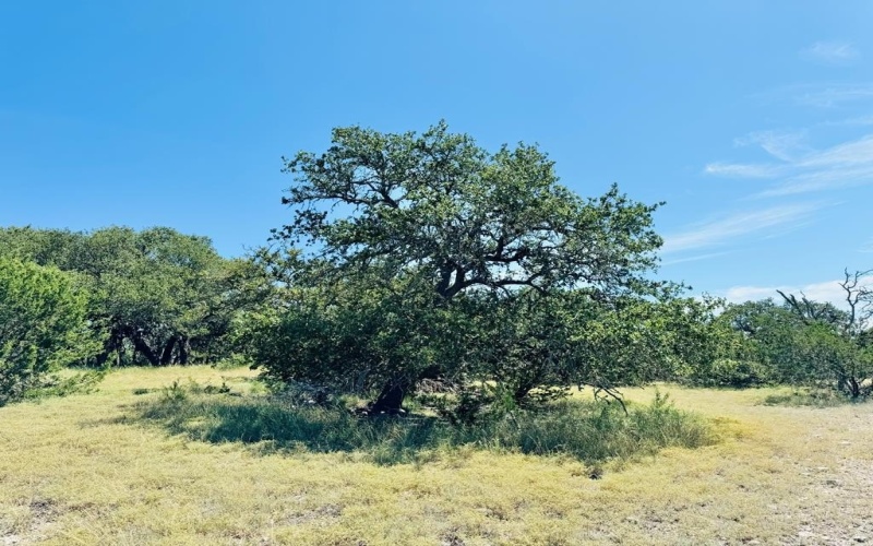 Pinnacle Dr, Fredericksburg, TX 78624, 4 Bedrooms Bedrooms, ,2 BathroomsBathrooms,Residential,For Sale,Pinnacle Dr,116138