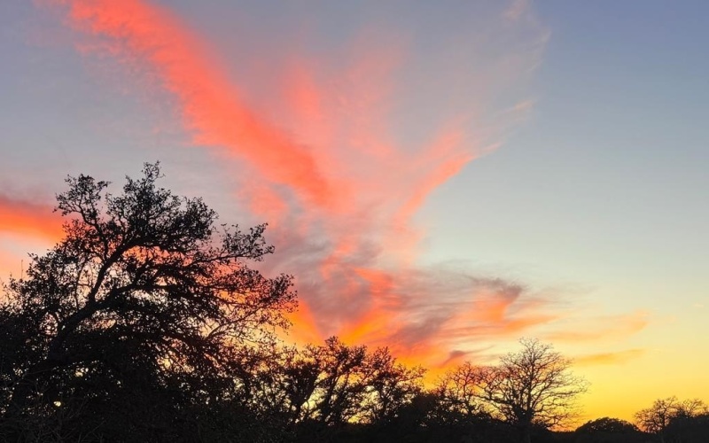 Pinnacle Dr, Fredericksburg, TX 78624, 4 Bedrooms Bedrooms, ,2 BathroomsBathrooms,Residential,For Sale,Pinnacle Dr,116138