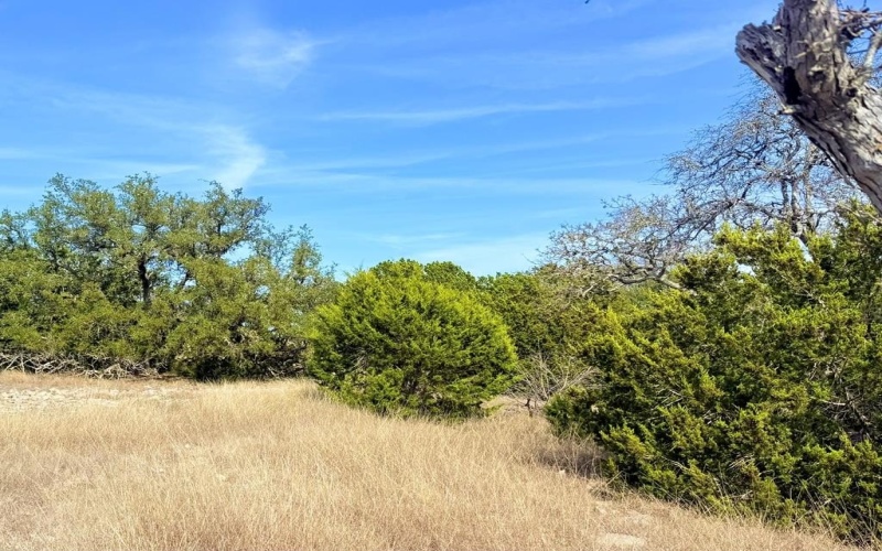 Pinnacle Dr, Fredericksburg, TX 78624, 4 Bedrooms Bedrooms, ,2 BathroomsBathrooms,Residential,For Sale,Pinnacle Dr,116138