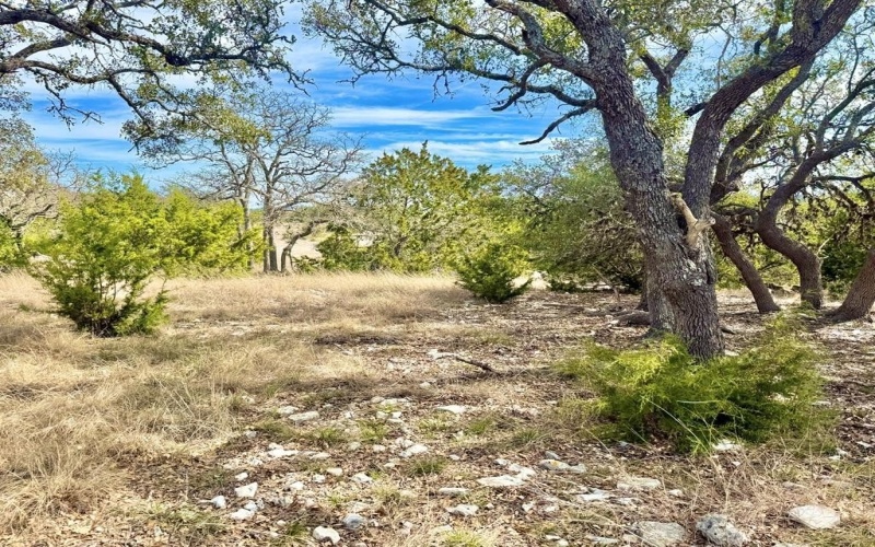 Pinnacle Dr, Fredericksburg, TX 78624, 4 Bedrooms Bedrooms, ,2 BathroomsBathrooms,Residential,For Sale,Pinnacle Dr,116138