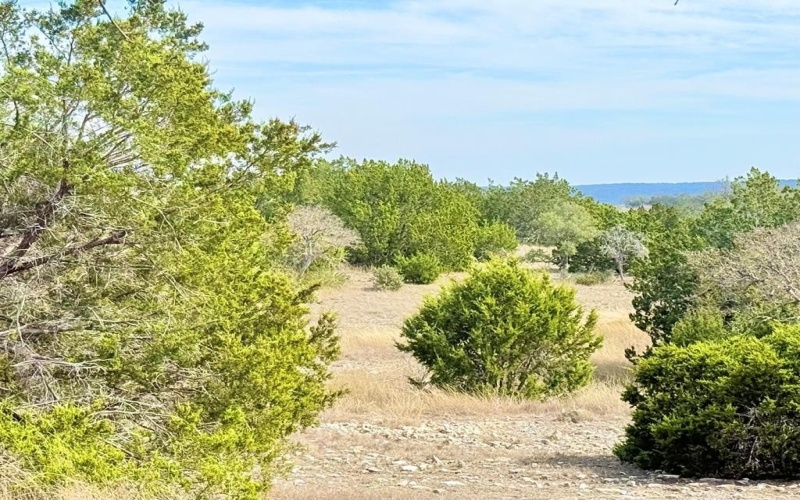 Pinnacle Dr, Fredericksburg, TX 78624, 4 Bedrooms Bedrooms, ,2 BathroomsBathrooms,Residential,For Sale,Pinnacle Dr,116138