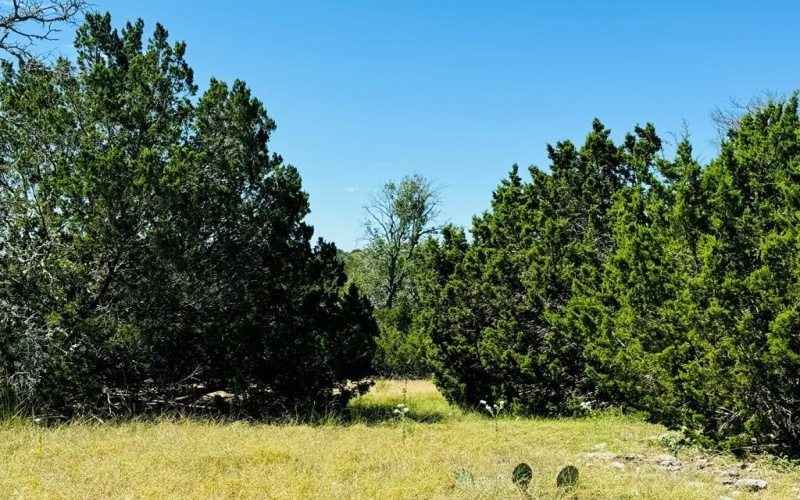 Pinnacle Dr, Fredericksburg, TX 78624, 4 Bedrooms Bedrooms, ,2 BathroomsBathrooms,Residential,For Sale,Pinnacle Dr,116138