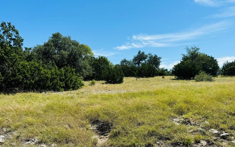 Pinnacle Dr, Fredericksburg, TX 78624, 4 Bedrooms Bedrooms, ,2 BathroomsBathrooms,Residential,For Sale,Pinnacle Dr,116138