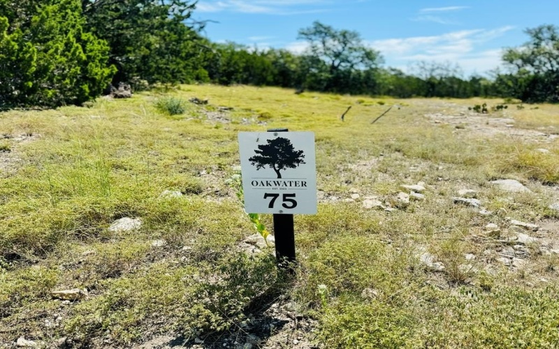 Pinnacle Dr, Fredericksburg, TX 78624, 4 Bedrooms Bedrooms, ,2 BathroomsBathrooms,Residential,For Sale,Pinnacle Dr,116138