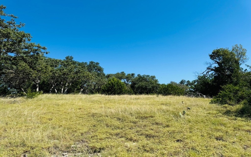 Pinnacle Dr, Fredericksburg, TX 78624, 4 Bedrooms Bedrooms, ,2 BathroomsBathrooms,Residential,For Sale,Pinnacle Dr,116138