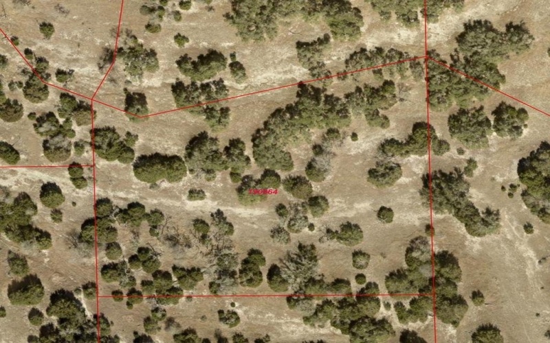 Pinnacle Dr, Fredericksburg, TX 78624, 4 Bedrooms Bedrooms, ,2 BathroomsBathrooms,Residential,For Sale,Pinnacle Dr,116138