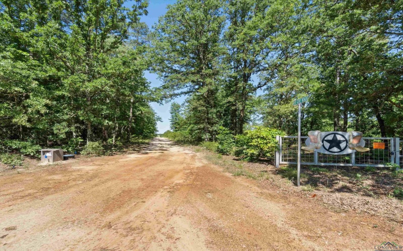 3472 FM 2869, Hawkins, TX 75765, 3 Bedrooms Bedrooms, ,2 BathroomsBathrooms,Residential,For Sale,3472 FM 2869,20253144
