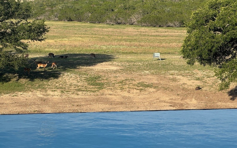 1275 Cypress Creek Rd, Kerrville, TX 78028, ,Granja,En Venta,1275 Cypress Creek Rd,118157