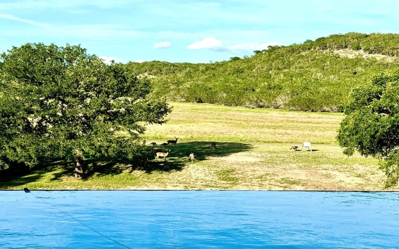 1275 Cypress Creek Rd, Kerrville, TX 78028, ,Granja,En Venta,1275 Cypress Creek Rd,118157