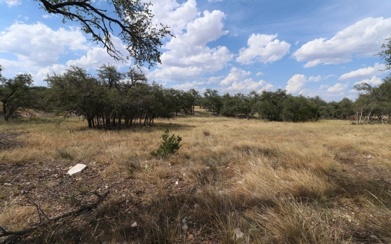 449 Nott Branch Rd, Harper, TX 78631, 4 Bedrooms Bedrooms, ,2 BathroomsBathrooms,Residential,For Sale,449 Nott Branch Rd,118177