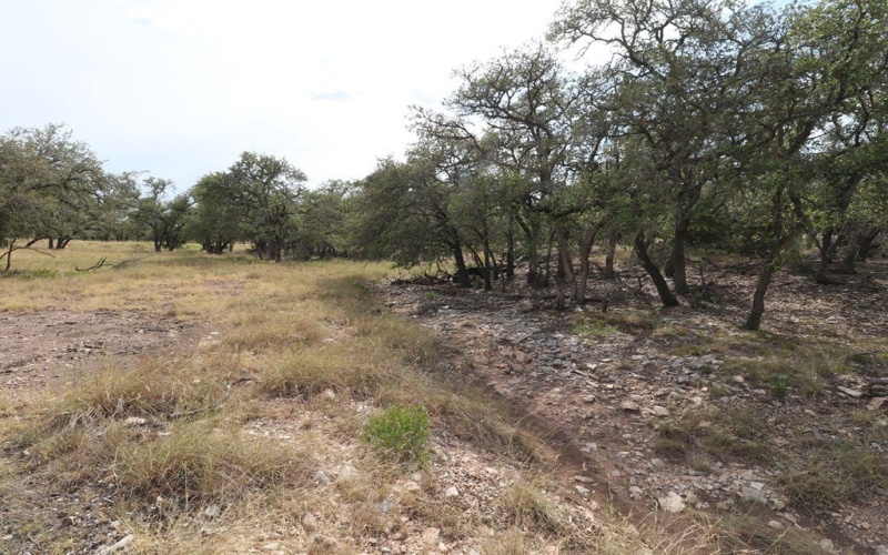 449 Nott Branch Rd, Harper, TX 78631, 4 Bedrooms Bedrooms, ,2 BathroomsBathrooms,Residential,For Sale,449 Nott Branch Rd,118177