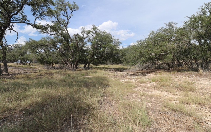 449 Nott Branch Rd, Harper, TX 78631, 4 Bedrooms Bedrooms, ,2 BathroomsBathrooms,Residential,For Sale,449 Nott Branch Rd,118177