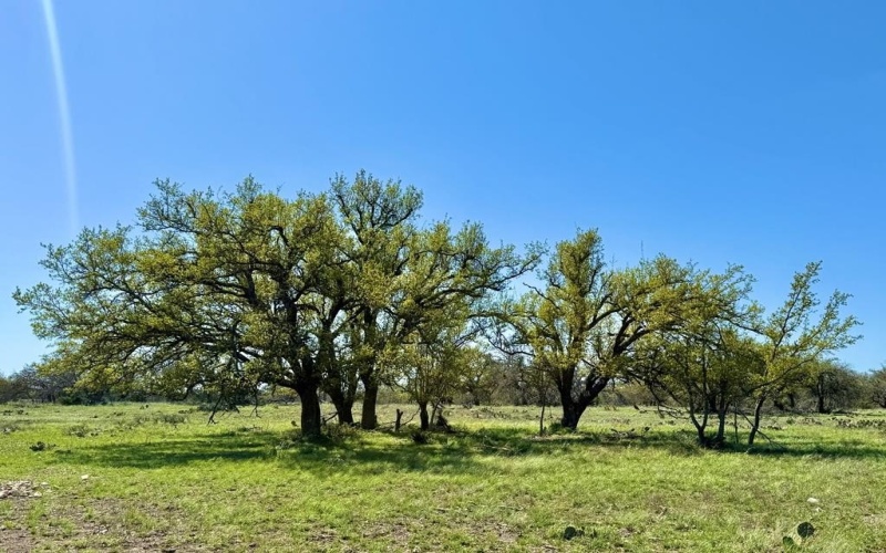 2178 S Ranch Rd 783, Harper, TX 78631, ,Farm,For Sale,2178 S Ranch Rd 783,119029