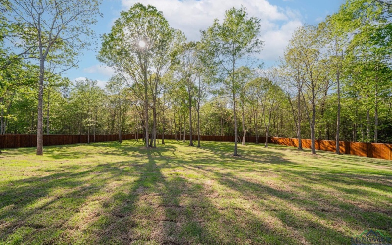 175 Thorn Briar Trail, Longview, TX 75602, 4 Bedrooms Bedrooms, ,3 BathroomsBathrooms,Residential,For Sale,175 Thorn Briar Trail,20246369