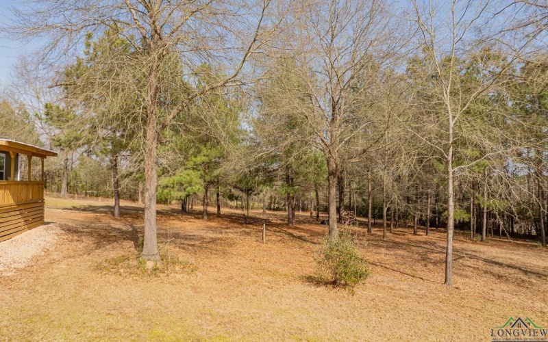 13975 E SH 43, Tatum, TX 75691, 4 Bedrooms Bedrooms, ,2 BathroomsBathrooms,Residential,For Sale,13975 E SH 43,20251479