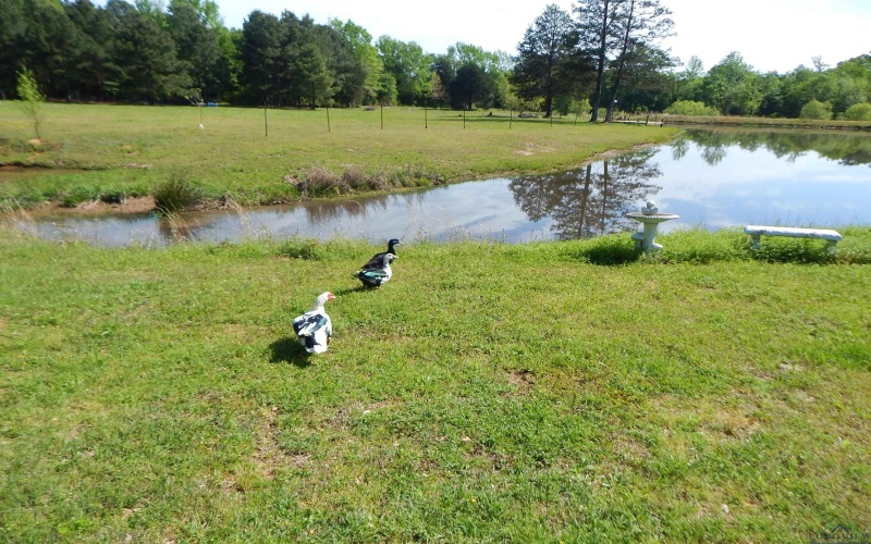 6620 FM 1795, Gilmer, TX 75644, 4 Bedrooms Bedrooms, ,3 BathroomsBathrooms,Residential,For Sale,6620 FM 1795,20252407