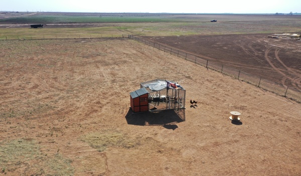 21701 County Rd 2040, Lubbock, TX 79423, 5 Bedrooms Bedrooms, ,5 BathroomsBathrooms,Residential,For Sale,21701 County Rd 2040,202552395