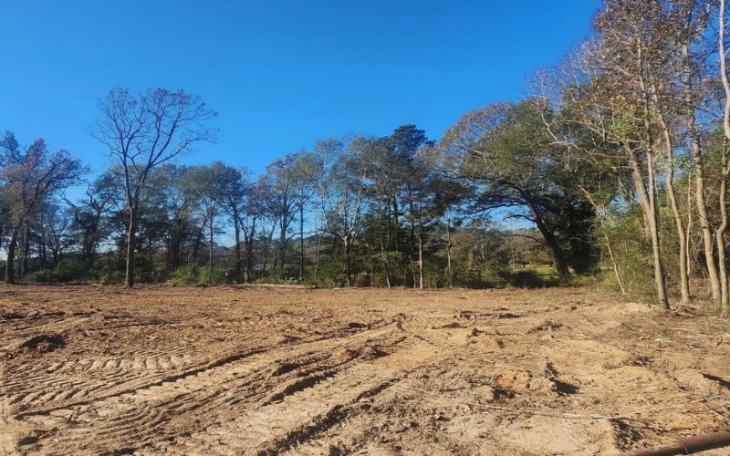 TBD County Road 136, Garrison, TX 75946, 3 Bedrooms Bedrooms, ,2 BathroomsBathrooms,Residential,For Sale,TBD County Road 136,22401680