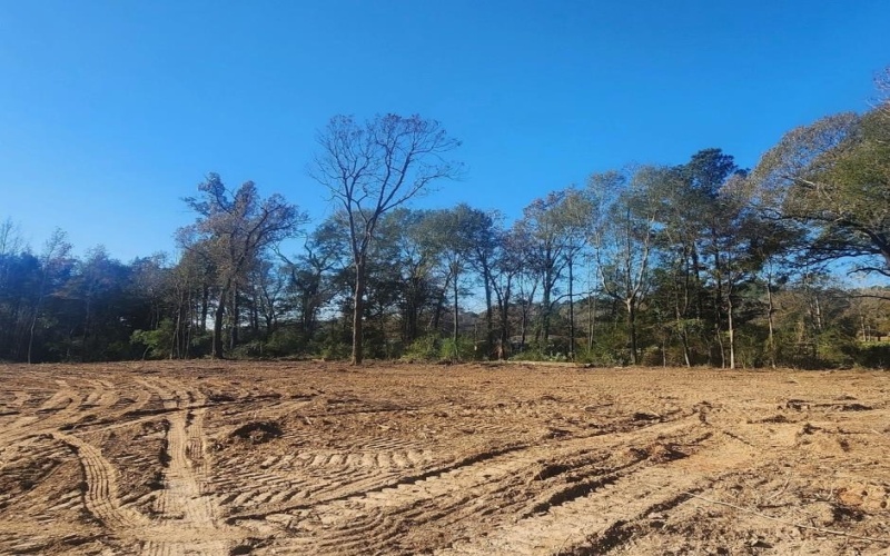 TBD County Road 136, Garrison, TX 75946, 3 Bedrooms Bedrooms, ,2 BathroomsBathrooms,Residential,For Sale,TBD County Road 136,22401680