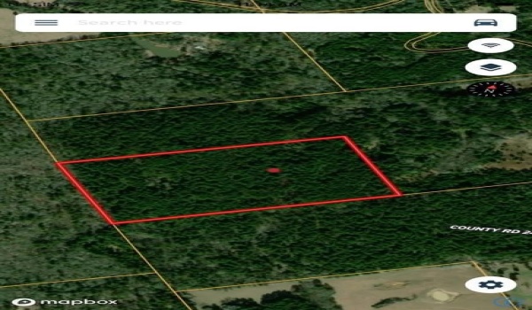 Tbd FM 245 N, Oakwood, TX 75855, ,Residential Lease,For Rent,Tbd FM 245 N,20003924