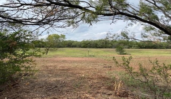 549 E Stamford Street, Abilene, TX 79601, ,Commercial Sale,For Sale,549 E Stamford Street,20462857