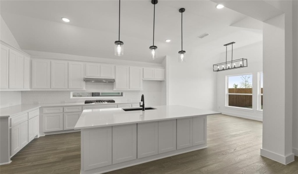 1848 Valencia Drive, Little Elm, TX 75068, 5 Bedrooms Bedrooms, ,5 BathroomsBathrooms,Residential,For Sale,1848 Valencia Drive,20618021