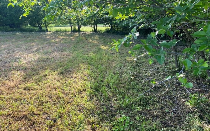 9999 NE 14th Avenue, Mineral Wells, TX 76067, ,Commercial Sale,For Sale,9999 NE 14th Avenue,20569803