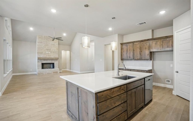 1176 Paradise Parkway, Poolville, TX 76487, 4 Bedrooms Bedrooms, ,3 BathroomsBathrooms,Residential,For Sale,1176 Paradise Parkway,20591849