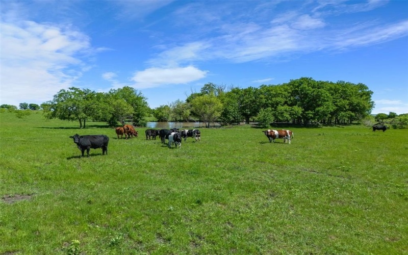 2507a Howell Drive, Mansfield, TX 76084, ,Commercial Sale,En Venta,2507a Howell Drive,20645790