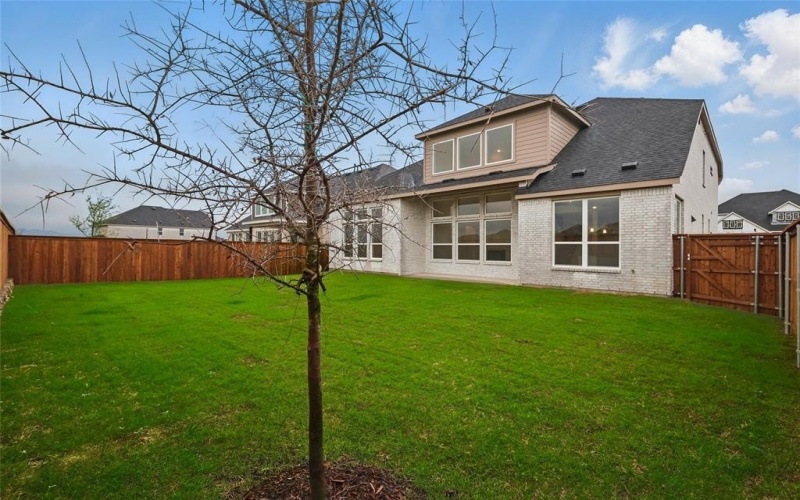 16420 Flatlands Way, Celina, TX 75009, 5 Habitaciones Habitaciones , ,5 BañosBaños,Residential,En Venta,16420 Flatlands Way,20687680