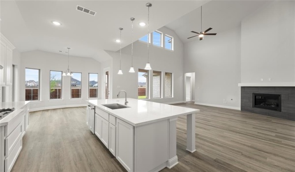 208 Banderilla Lane, Wylie, TX 75098, 4 Bedrooms Bedrooms, ,5 BathroomsBathrooms,Residential,For Sale,208 Banderilla Lane,20747189