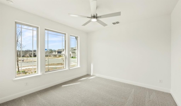 301 Mandarin Circle, Wylie, TX 75098, 5 Bedrooms Bedrooms, ,5 BathroomsBathrooms,Residential,For Sale,301 Mandarin Circle,20748232