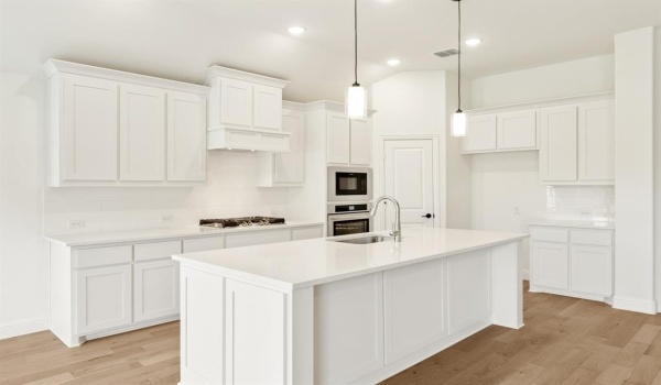 121 Verbena Ridge Drive, Fort Worth, TX 76131, 4 Bedrooms Bedrooms, ,2 BathroomsBathrooms,Residential,For Sale,121 Verbena Ridge Drive,20748287